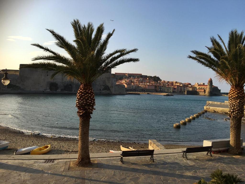two palm trees on a beach next to a body of water at Résidence Collioure Plage in Collioure