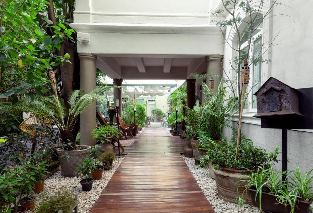 Kebun di luar Hotel Villa Condesa