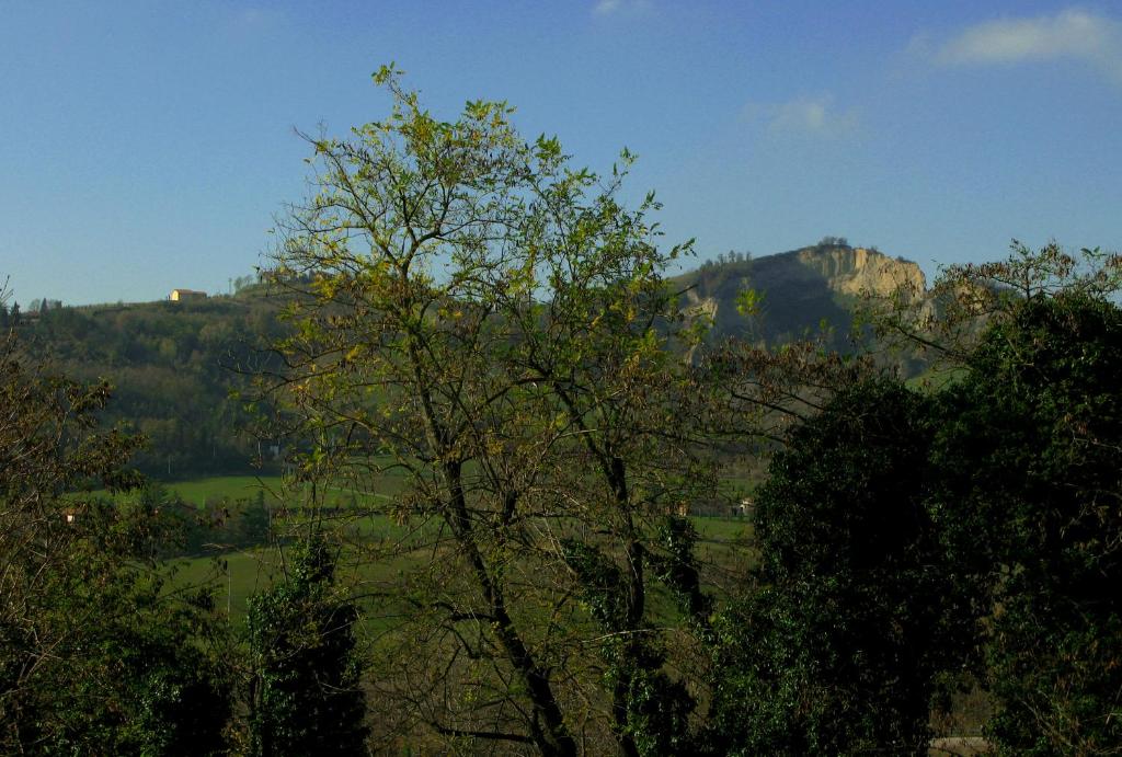 uma árvore em primeiro plano com uma montanha em segundo plano em Hotel Bellevue em Pianoro