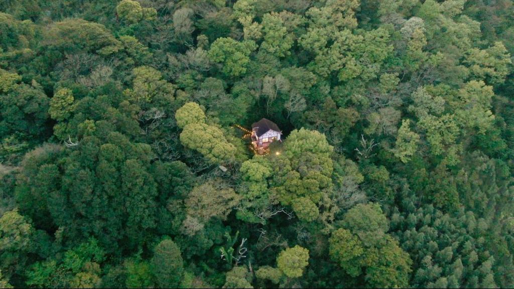 Billede fra billedgalleriet på Forest hideaway in Onsen town with music studio i Higashiizu