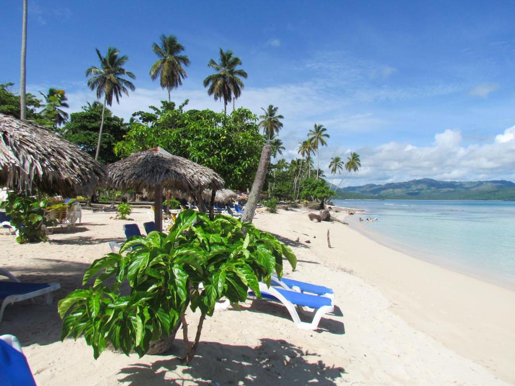 a beach with chairs and palm trees and the ocean at Las Galeras Hotel in Las Galeras