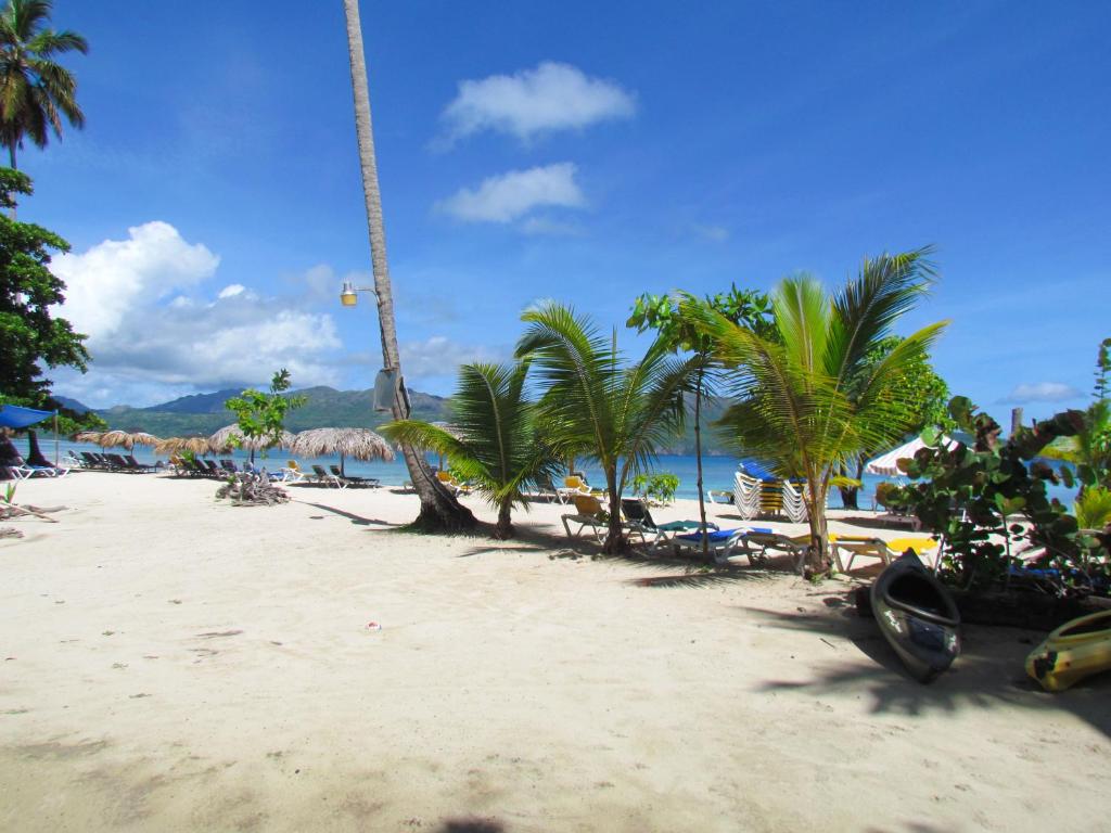a sandy beach with palm trees and a crane at Las Galeras Hotel in Las Galeras