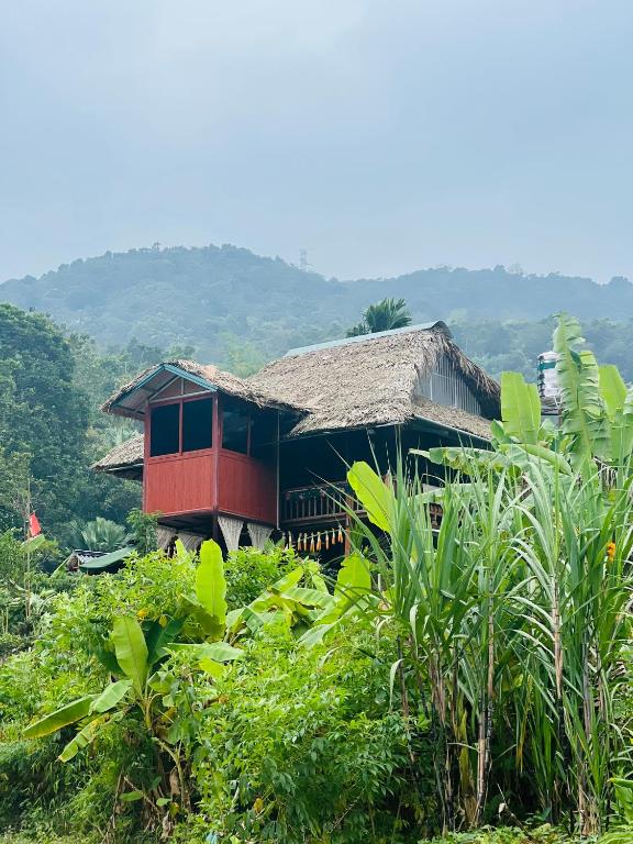 a house with a thatched roof on a hill at Ha Giang Uphill Coffee Farmstay in Ha Giang