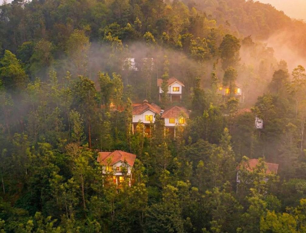 a house on a hill in the middle of a forest at Peter's Coffee Creek Wayanad Pool Resort and Spa in Wayanad