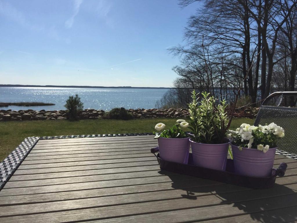 zwei Topfpflanzen auf einer Holzterrasse mit Blick auf das Wasser in der Unterkunft Ferienwohnung Seeblick in Waren (Müritz)