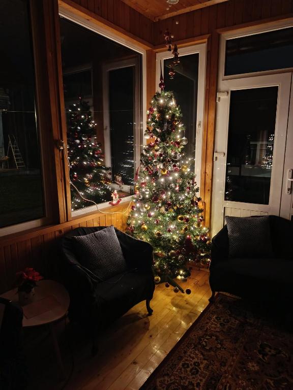 a living room with a christmas tree in a room at La Remus in Moieciu de Jos