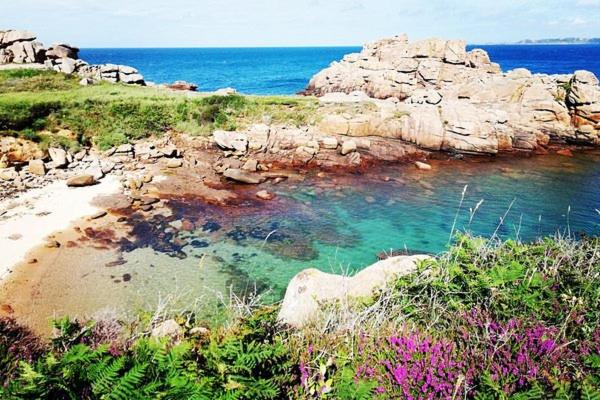 Naturlandschaft in der Nähe der Ferienwohnung