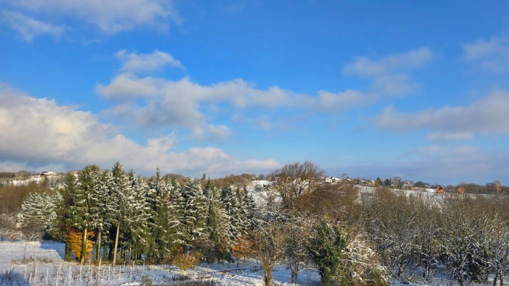 Villa MILA by Villas Guide om vinteren