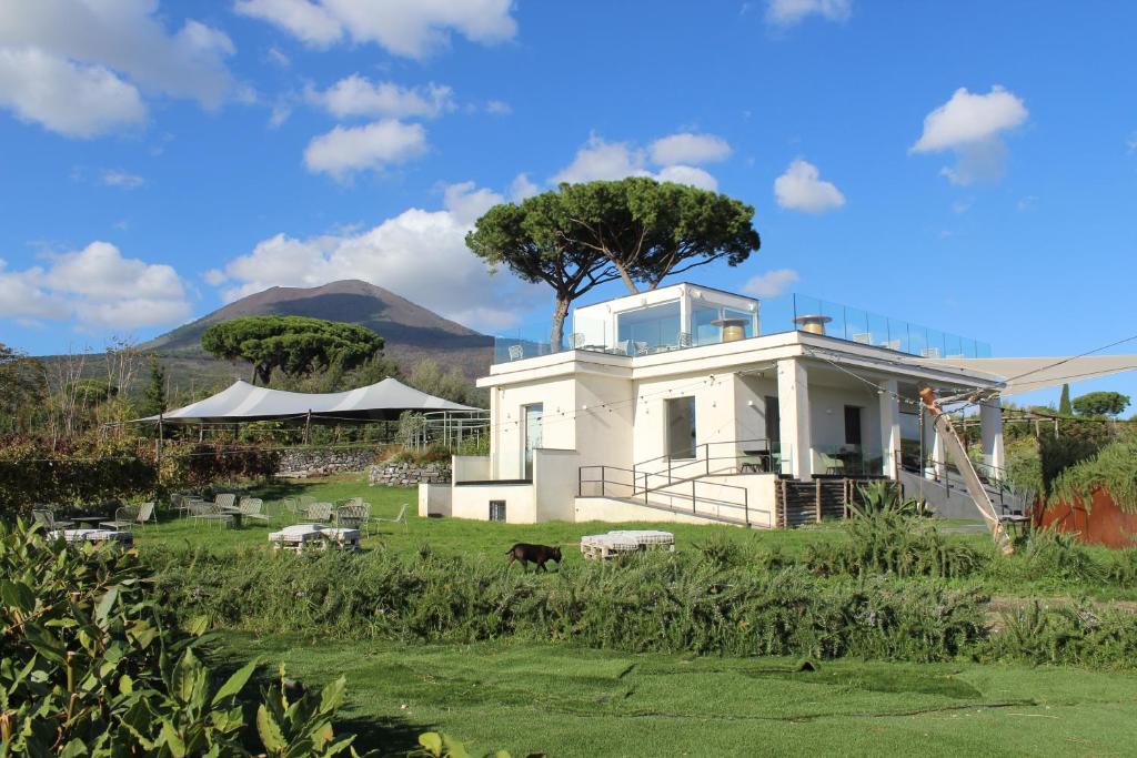 a white house with a tree in a field at Vigna delle Rose in Trecase