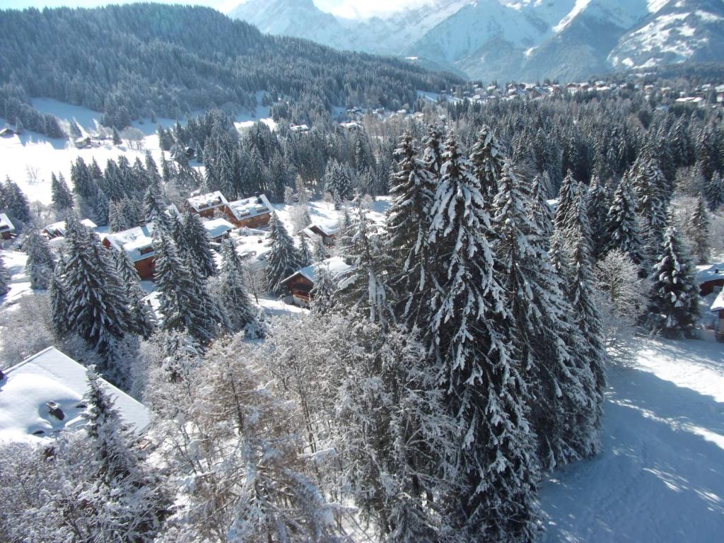 a village covered in snow with trees and mountains at Petit Ours in Villars-sur-Ollon