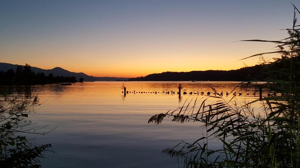 a lake at sunset with ducks on the water at Strandhotel Schmerikon in Schmerikon