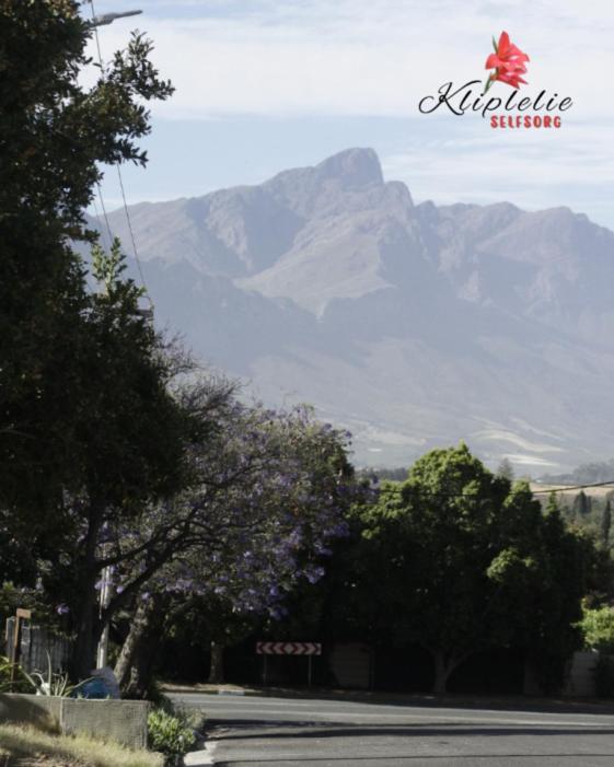 a mountain in the distance with trees and a street at Kliplelie Selfsorg in Tulbagh