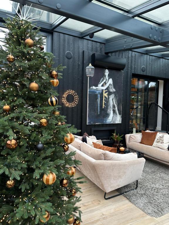 a christmas tree in a living room with couches at WILLA MAGNOLIA - Apartamenty i Pokoje - ROWERY, POKÓJ ZABAW, KAWA Z EKSPRESU in Jantar