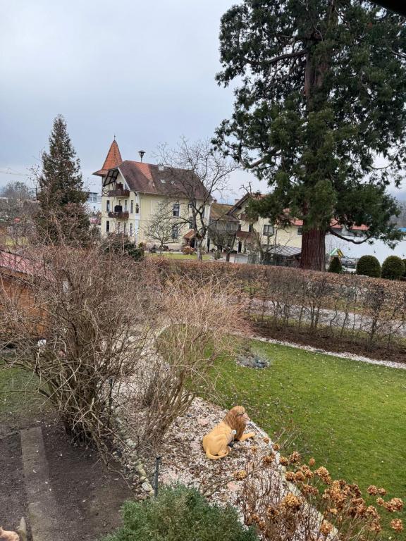 Galeriebild der Unterkunft Ferienwohnung Nika in Bad Reichenhall