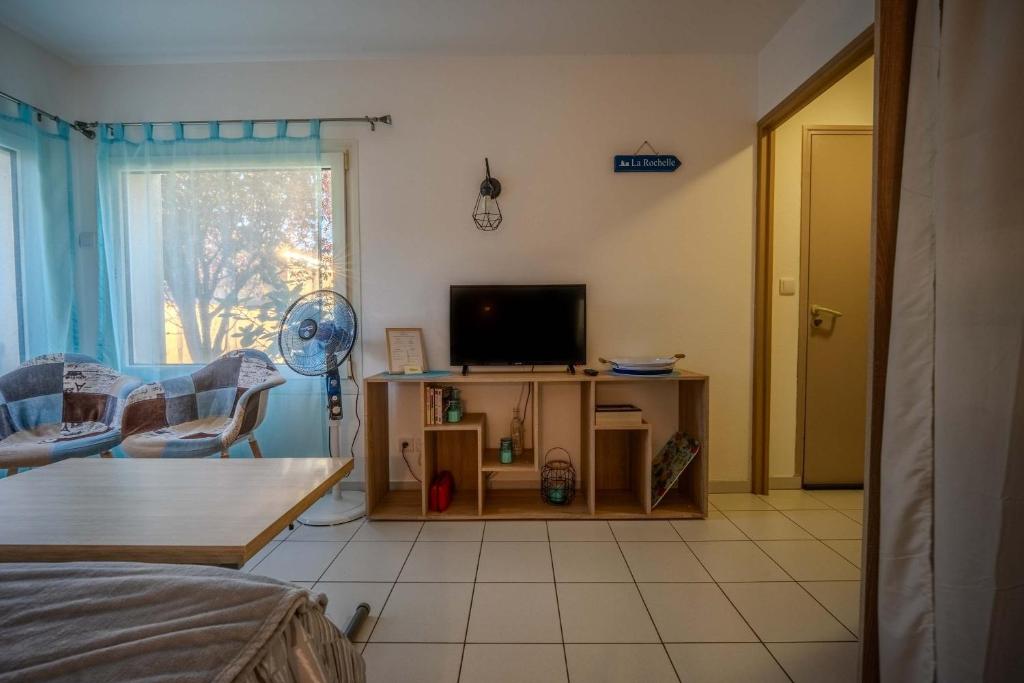 TV a/nebo společenská místnost v ubytování Appartement Dauphin - Résidence Kiwi