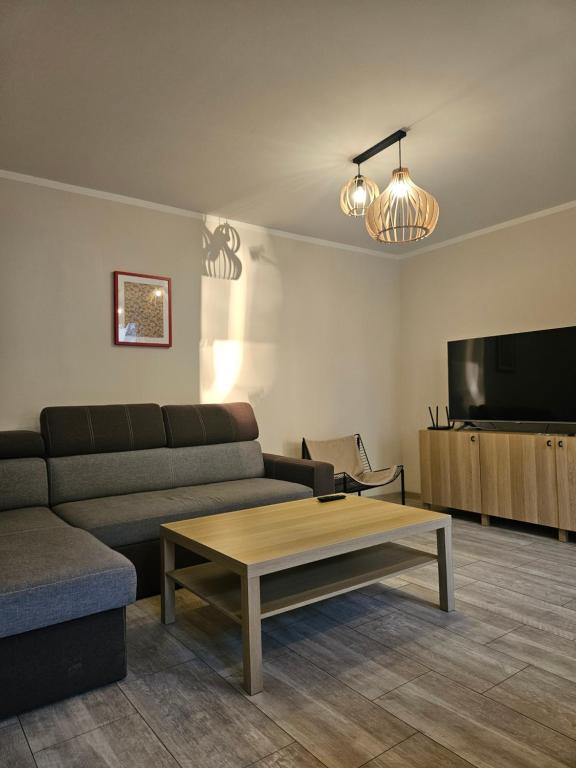 Μια τηλεόραση ή/και κέντρο ψυχαγωγίας στο Apartamenty KDN Metalowców
