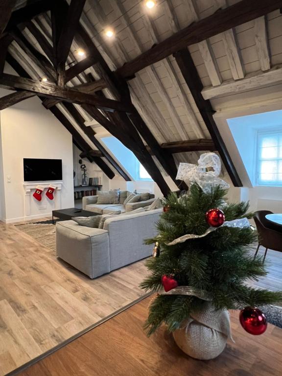 ein Weihnachtsbaum mitten im Wohnzimmer in der Unterkunft Le Laurencin Sens - Le Family - Cœur de ville in Sens
