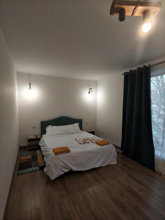 a bedroom with a bed and a large window at Studio ultracentral stefan cel mare in Craiova