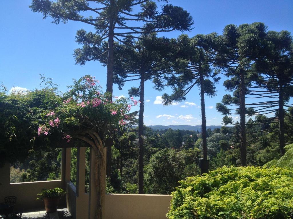 una vista desde el jardín de una casa con árboles en Apartamento Orsi, en Gramado