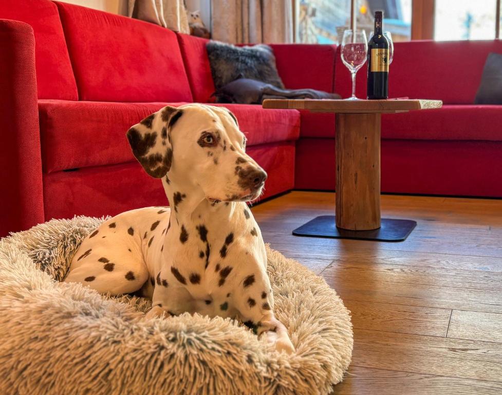 Huéspedes con una o varias mascotas en Birnbaum Chalets Grossarl