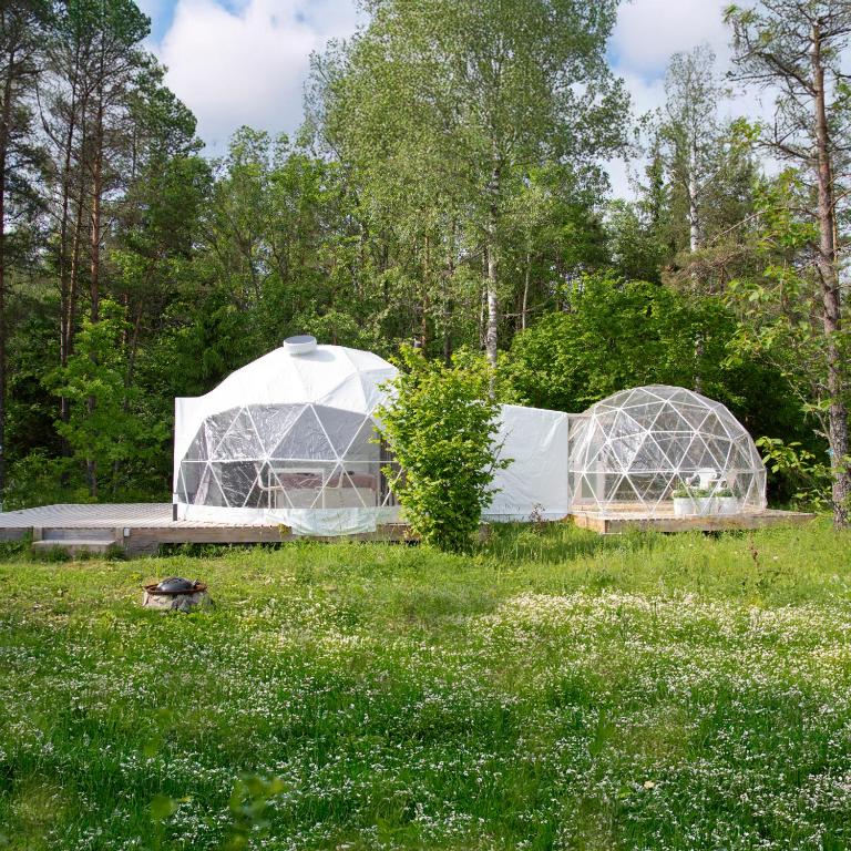 two domes in a field with grass and flowers at Bubble House glamping tent Odulemma in Odulemma