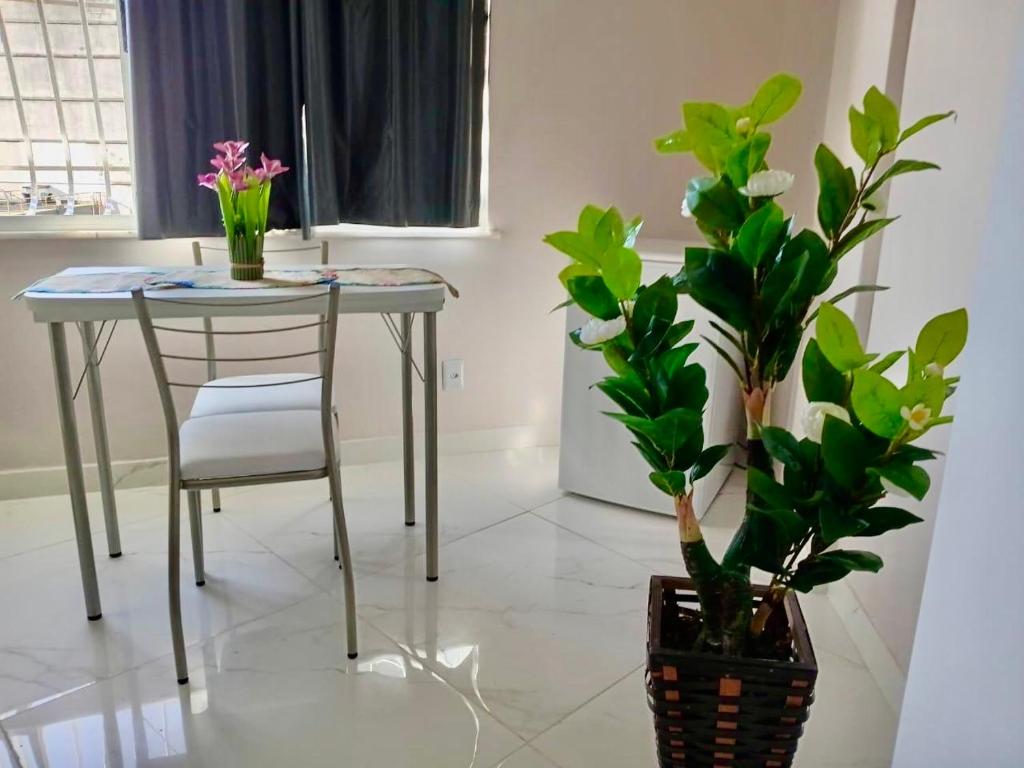 een eettafel met een stoel en twee planten bij Tropical Loft in Niterói