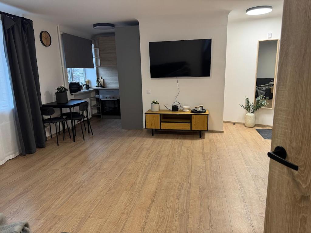 Et tv og/eller underholdning på Cozy Center Apartment