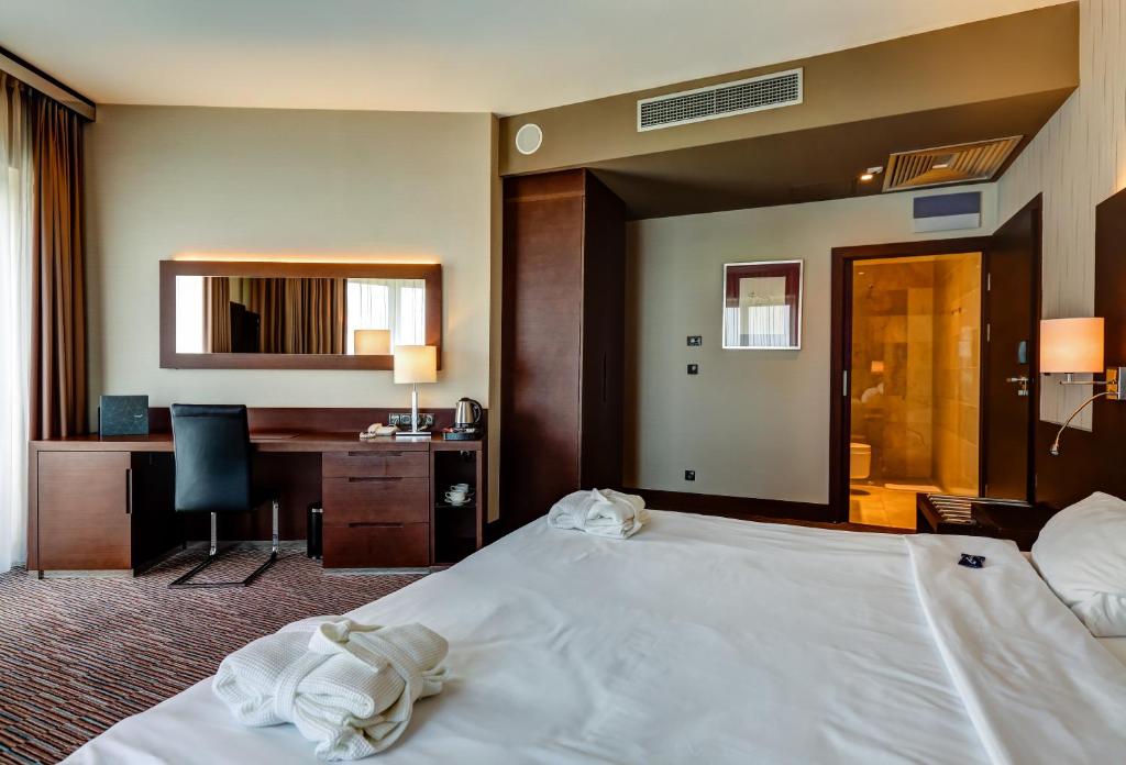 Copernicus Toruń Hotel - Deluxe Single Room