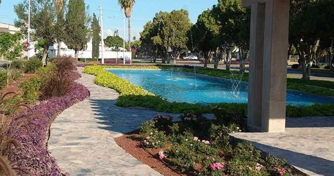 einen Garten mit einem Teich mit Blumen und einem Brunnen in der Unterkunft Torreón Jardin apartment near IMSS clinics 16 and 71 in Torreón