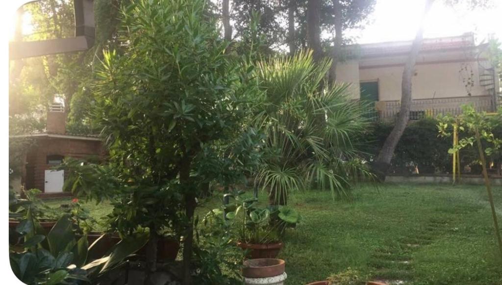 Zahrada ubytování Tutta vita