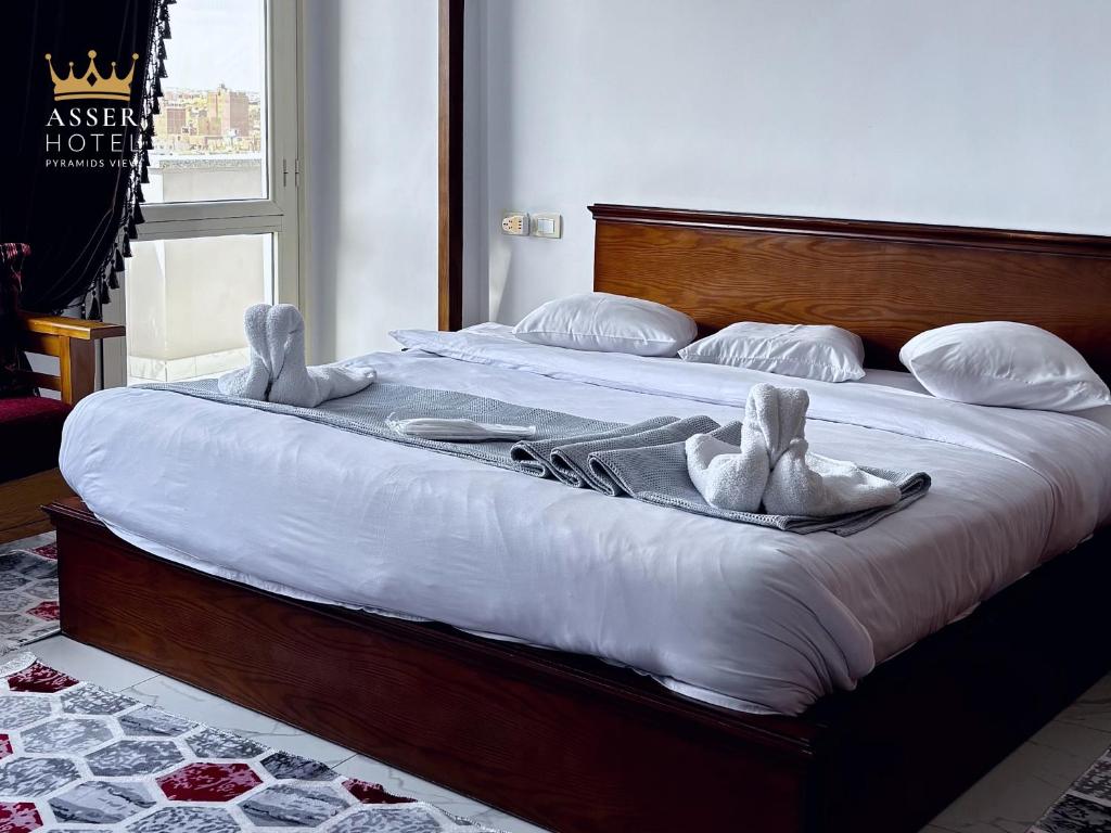 NEW ASSER HOTEL PYRAMID - 1