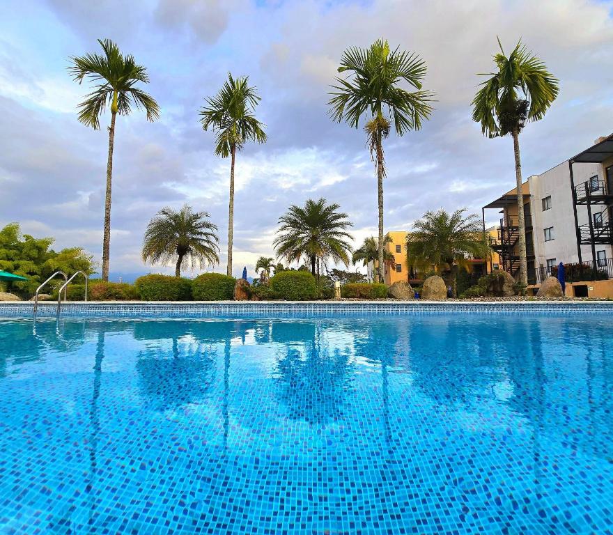 Una gran piscina con palmeras al fondo. en Apartamento Privado de 2 o 3 habitaciones en Condominio Campestre, en La Tebaida