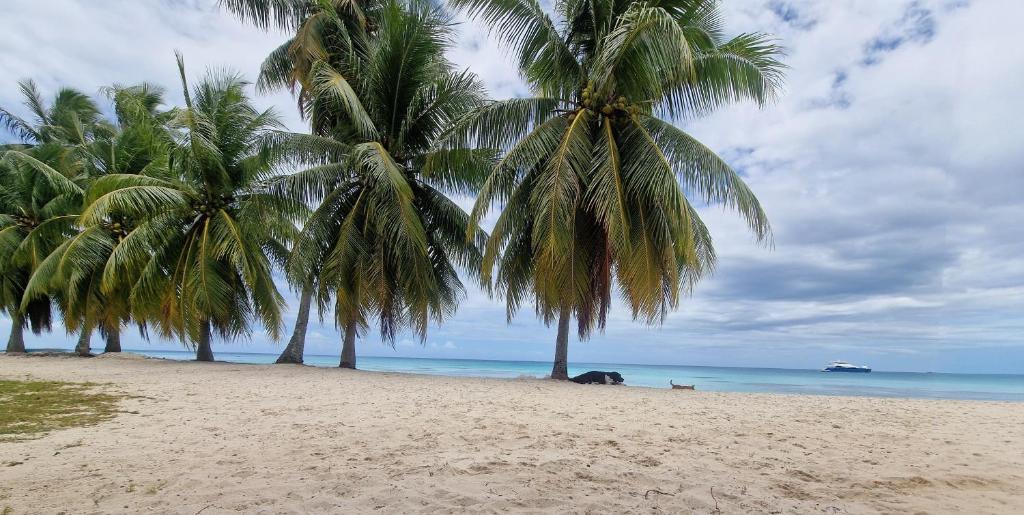 Takava Lodge, Fakarava - photo 10 - Fakarava, Polynésie