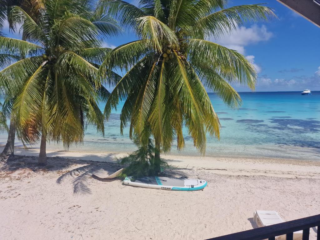 Takava Lodge, Fakarava - photo 11 - Fakarava, Polynésie