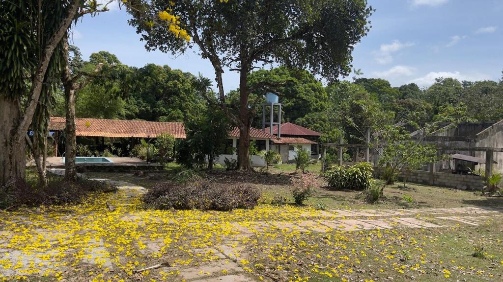 een tuin met gele bloemen voor een huis bij Sitio ecológico para eventos in Benevides