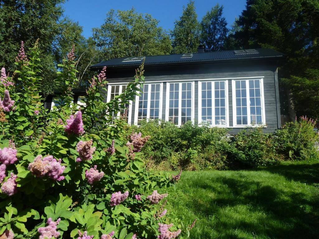 Klara House في Isfjorden: حديقة بها زهور وردية أمام النافذة