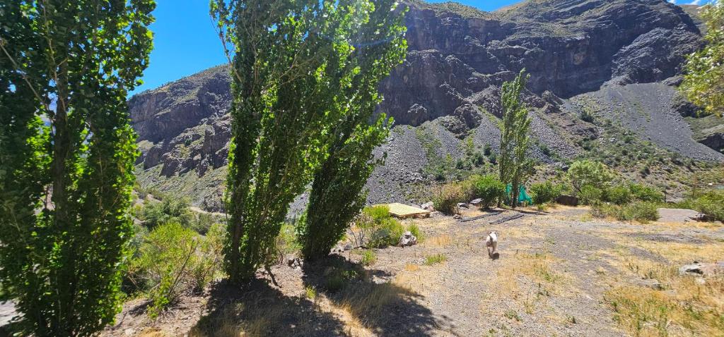 una persona che cammina su una strada sterrata con le montagne sullo sfondo di Cabaña Valle del Yeso a El Manzanito
