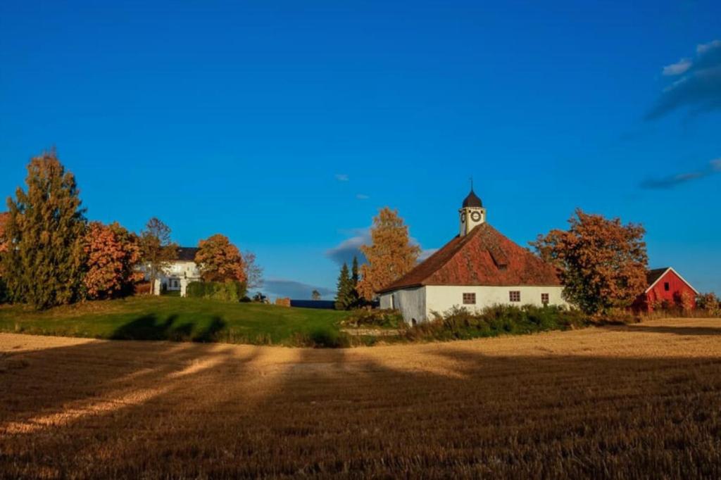 Billede fra billedgalleriet på Torshov Gård, Viking grounds i Hamar