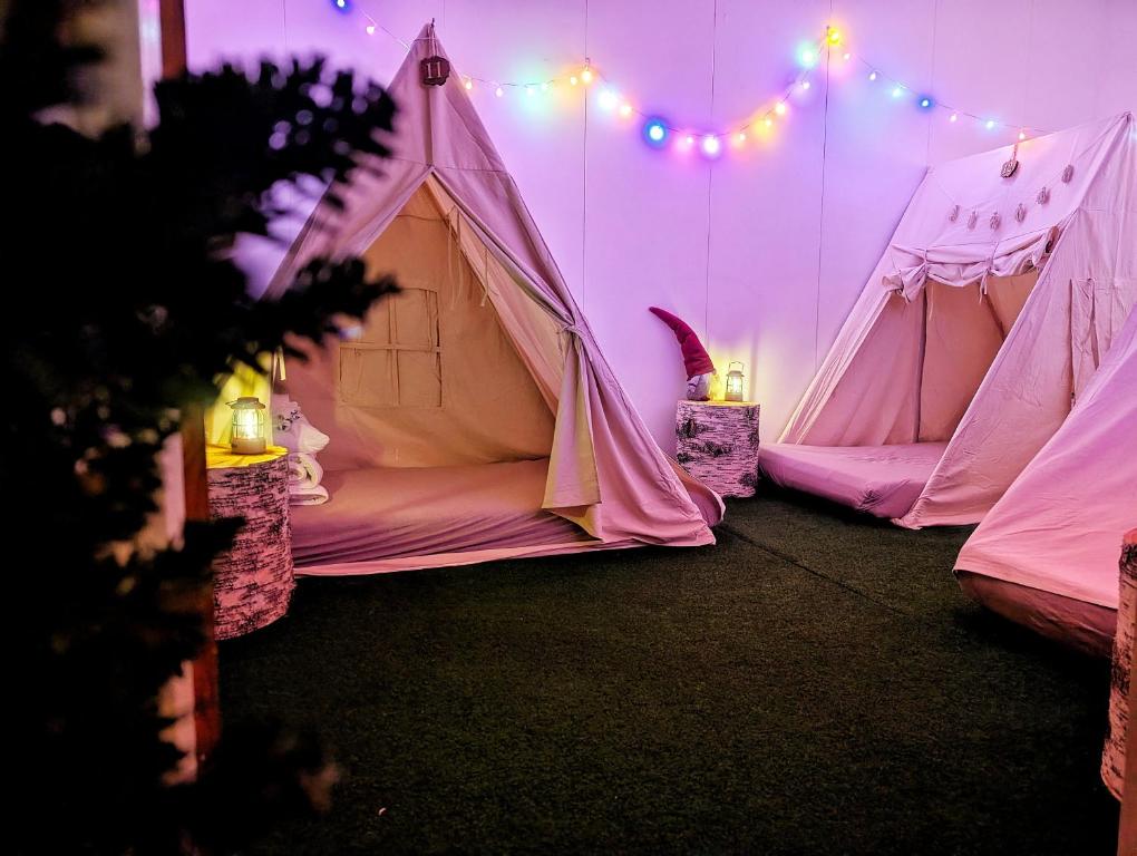 罗瓦涅米Santa's indoor Camping Hostel的房间里有几顶帐篷，还有灯。