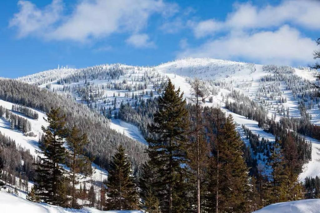 Το Chalet Chic! Lake and Ski Access Nearby Fish Pond τον χειμώνα