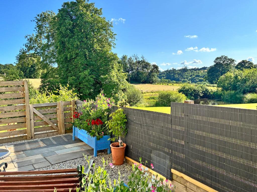En have udenfor Beech Cottage - Uk49211