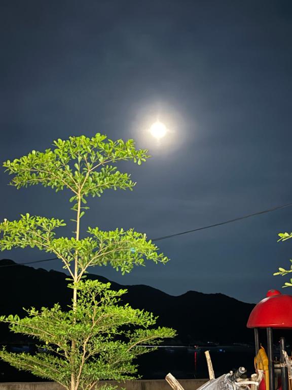 Naturlandskabet i nærheden af lejligheden