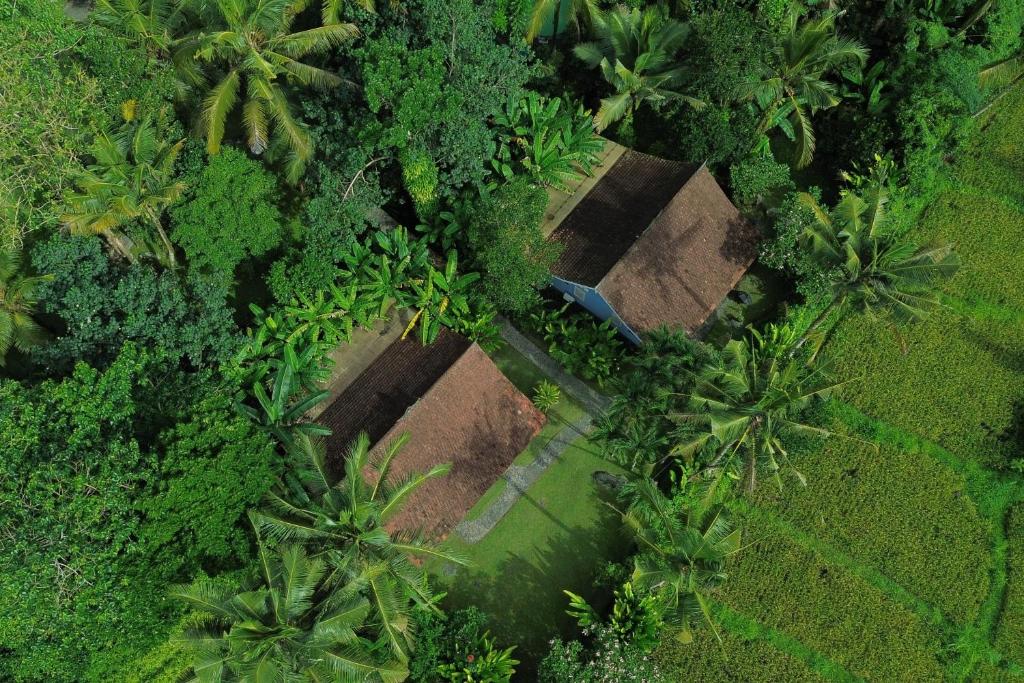 Darmada Eco Resort - 1