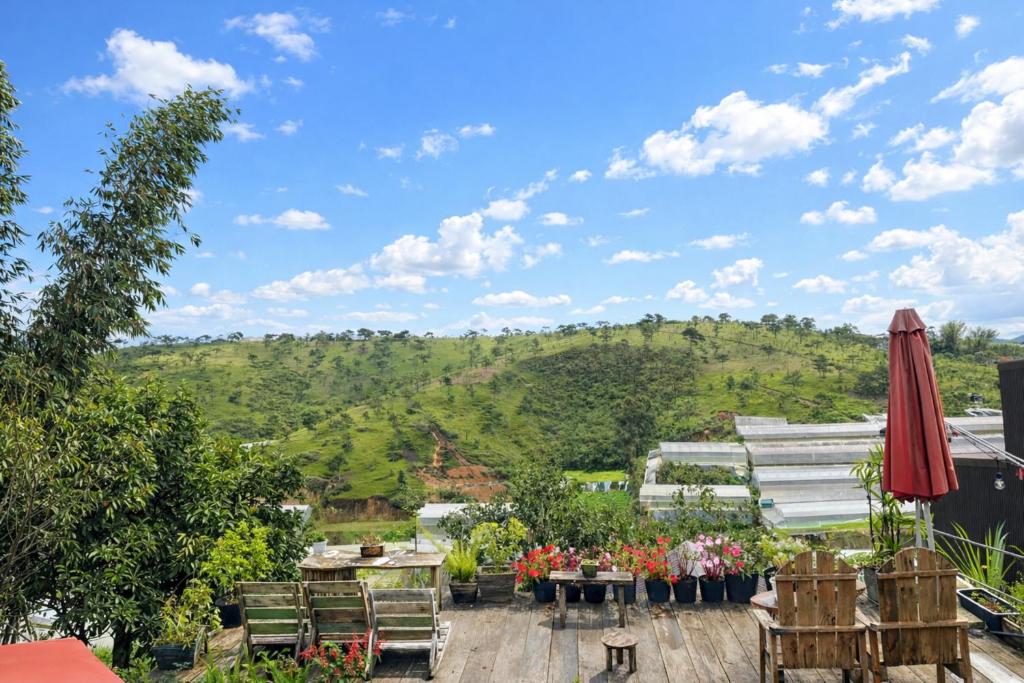 Příroda nedaleko hotelu