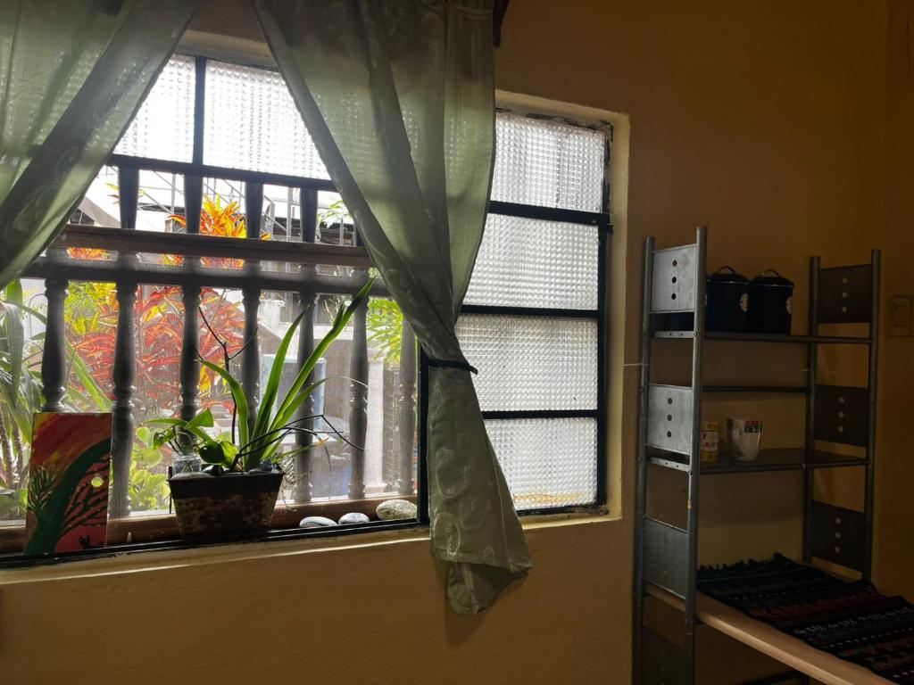 Billede fra billedgalleriet på Casa 27 i Antigua Guatemala