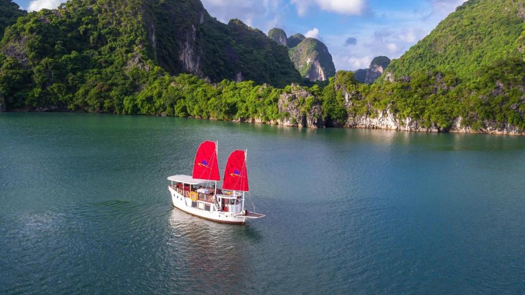 Naturlandskabet i nærheden af krydstogtet