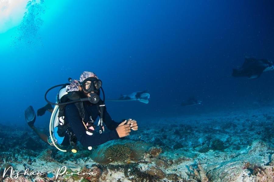 Khách lưu trú tại Addu Scuba Dive