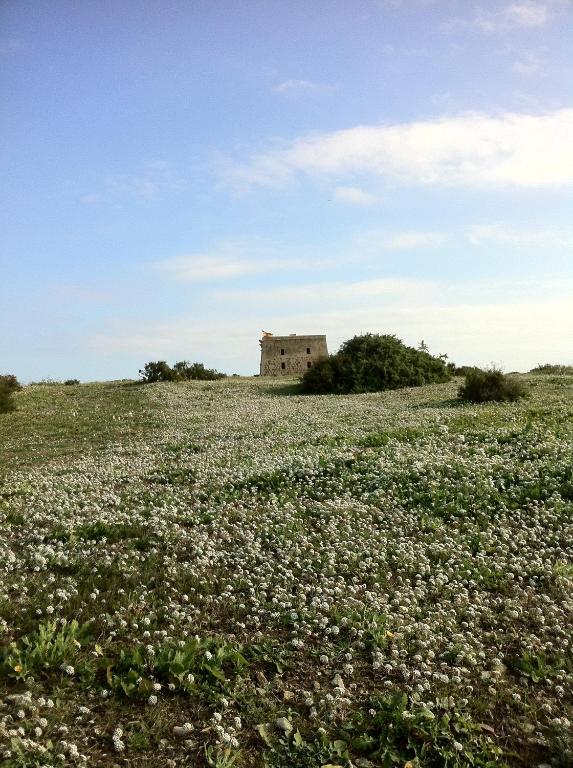Boutique Isla Tabarca, Isla de Tabarca – Precios actualizados ...