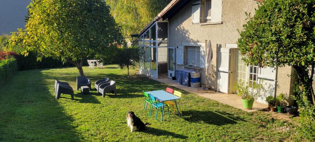a dog standing in the grass next to a house at Chambres cosy au hameau de St Pierre in Saint-Georges-de-Commiers