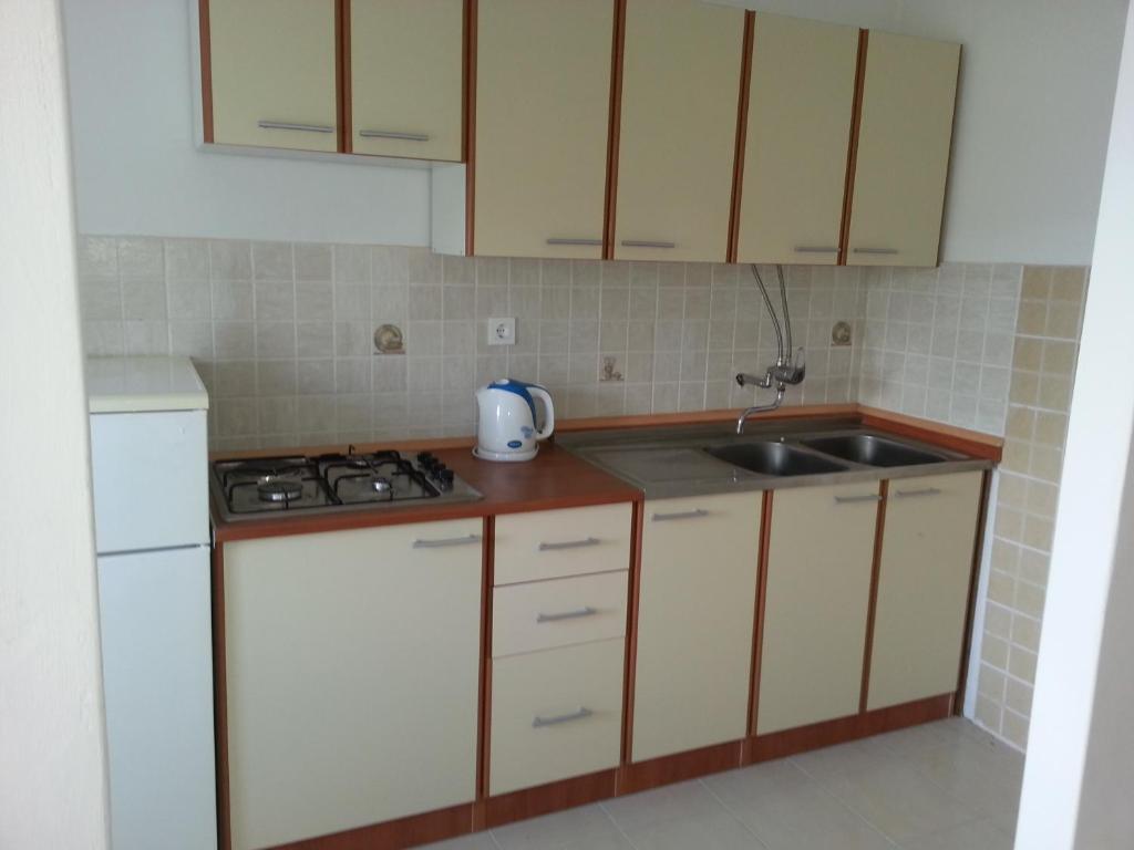 Kuchyňa alebo kuchynka v ubytovaní Apartment Vivoda